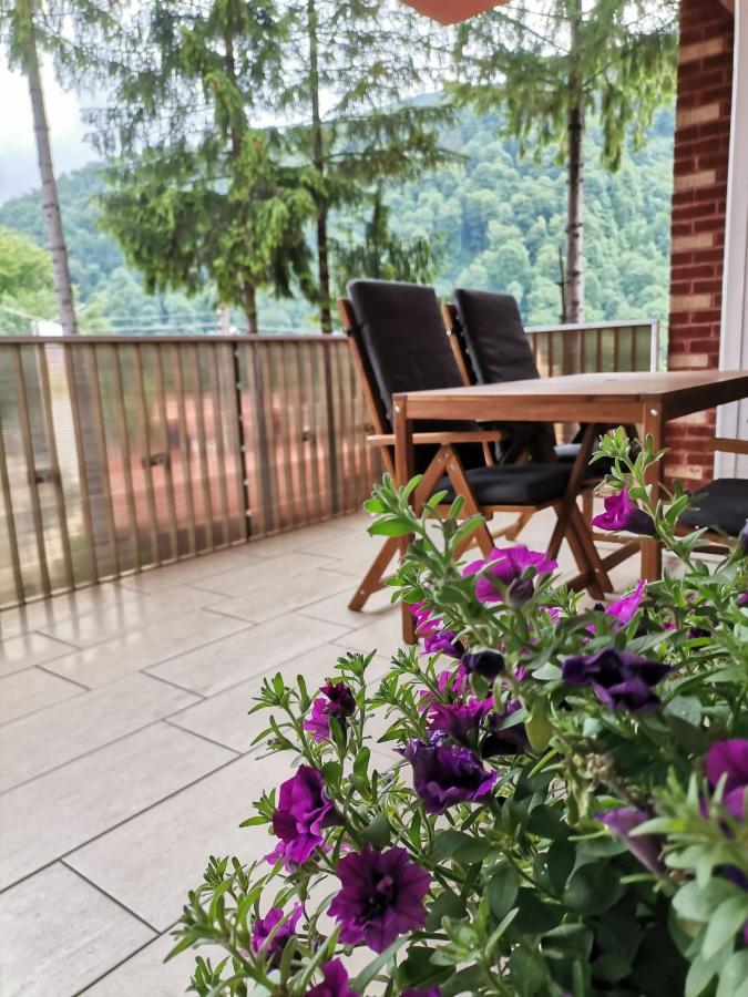 Criss Apartament Sinaia Luaran gambar